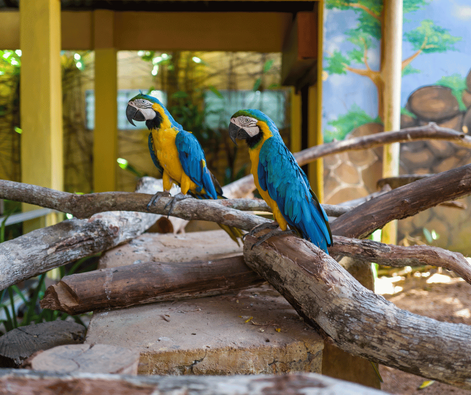 Wildlife Park